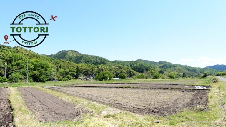 鳥取市河原町西郷地区の風景